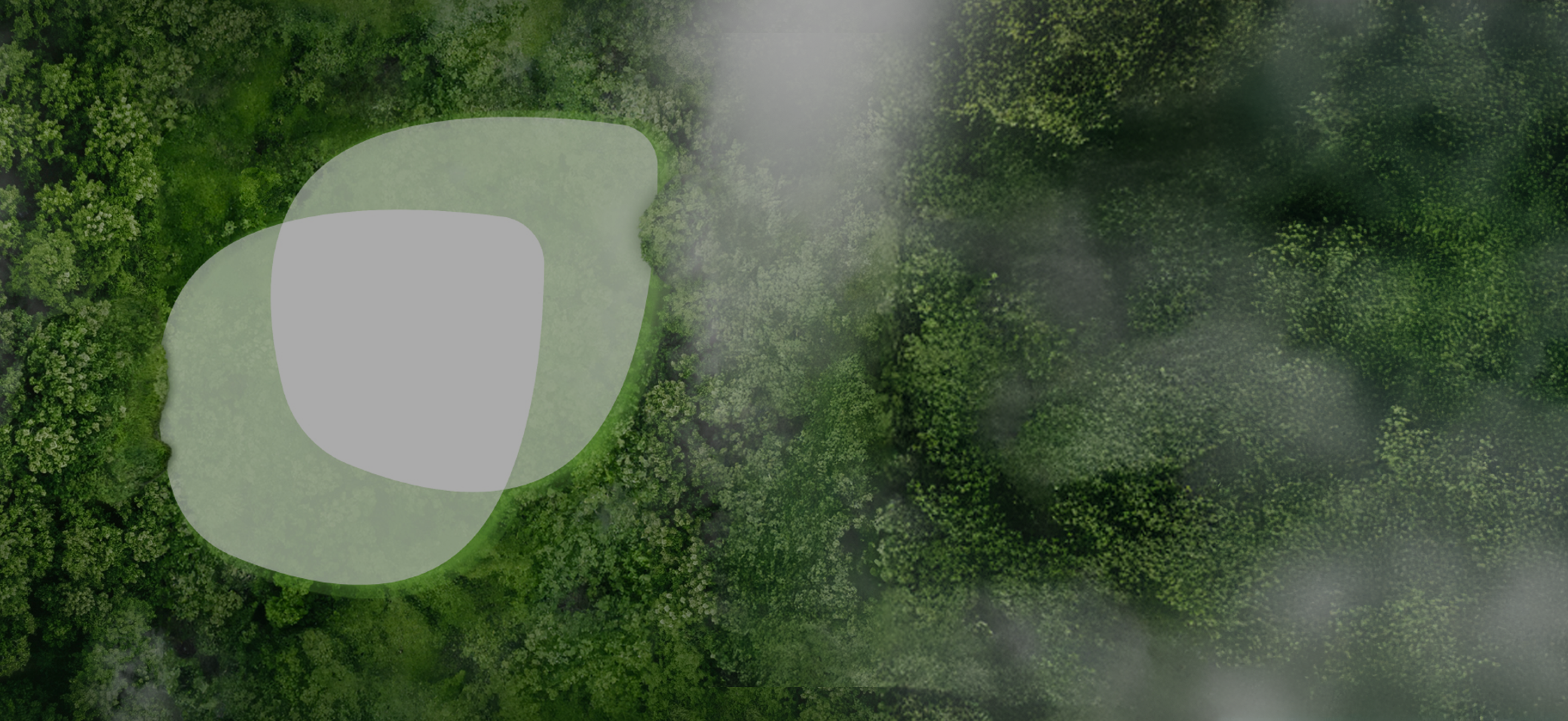 Finhay ESG Background