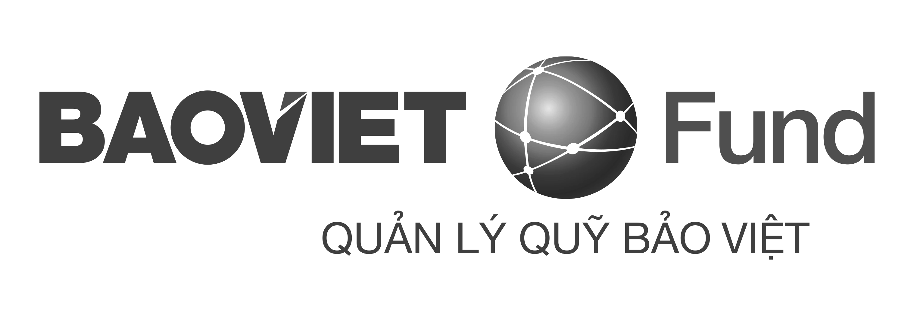 BVF Financial Partner Logo