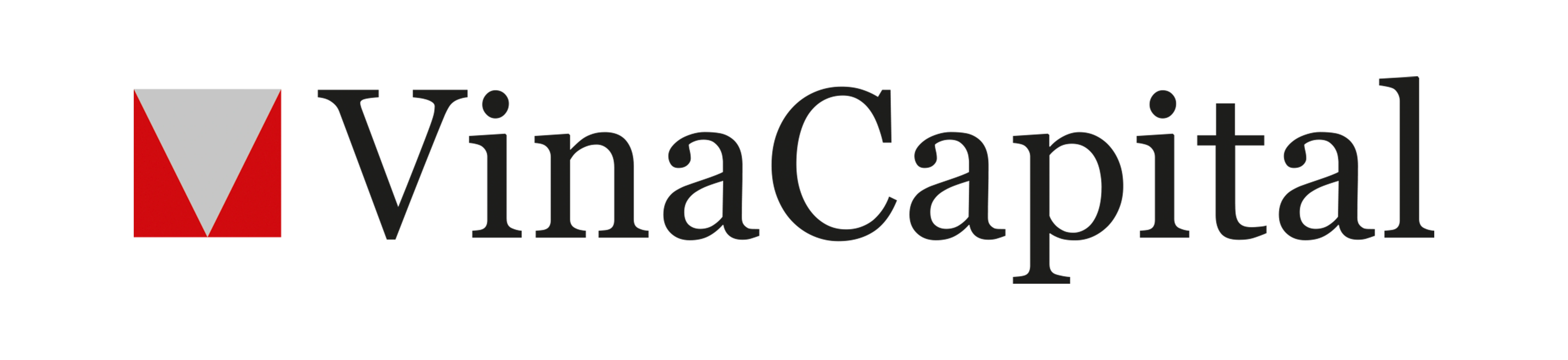 VinaCapital Financial Partner Logo