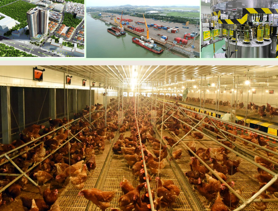 Phân tích chuyên sâu cổ phiếu DBC (Dabaco) 2026: Lợi nhuận sụt giảm, có nên đầu tư?