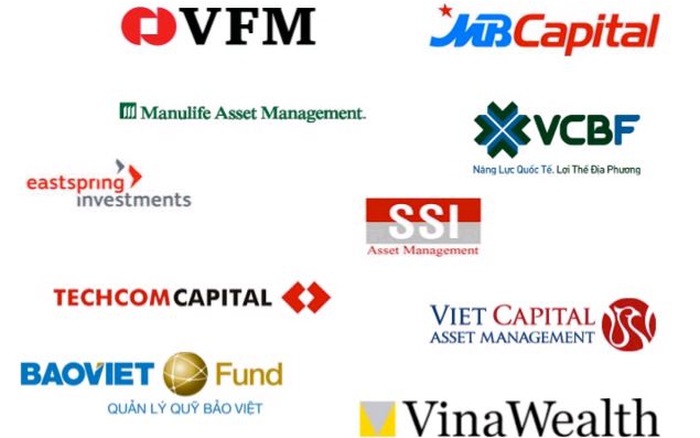 cac quy dau tu tai viet nam