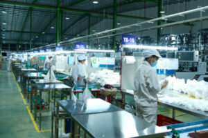 Hưởng lợi từ xu hướng tiêu dùng xanh