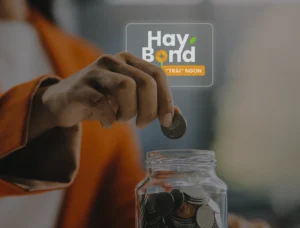 Tích lũy Haybond - Finhay