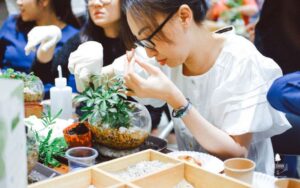 Terranium Workshop 