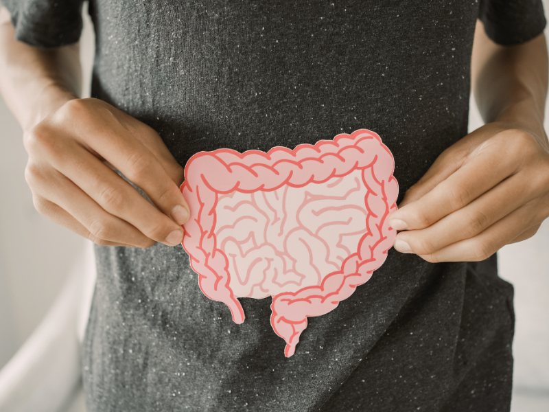 Men vi sinh là gì? Review top 5 loại men vi sinh tốt nhất cho hệ tiêu hóa của bé và gia đình (2026)