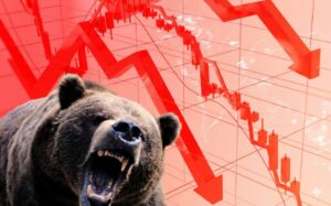 Bear Market 