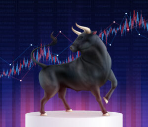 Bull Market 