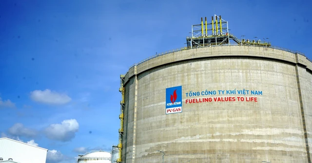 Phân tích tiềm năng cổ phiếu GAS (PV GAS) 2026: “Vua tiền mặt” & Cú hích lợi nhuận từ hoàn nhập dự phòng