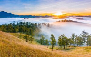 Săn mây Đà Lạt