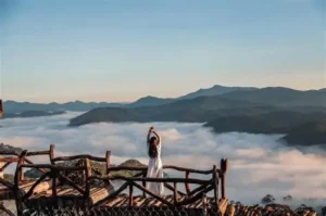 Đồi chè Cầu Đất