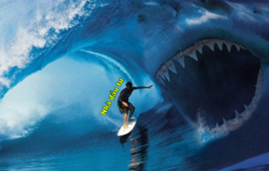 Cách cá mập tạo sóng FOMO