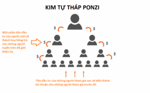 Mô hình Ponzi là gì? Cẩm nang nhận diện và bóc trần trò lừa đảo tài chính thế kỷ