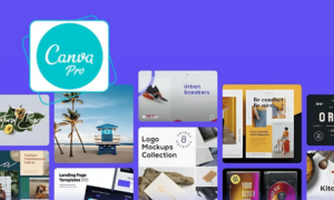 Cách tạo tài khoản Canva Pro miễn phí cho sinh viên 2026 (Hướng dẫn chi tiết)