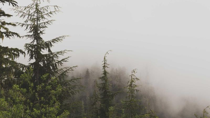 Cơ hội triển vọng và rủi ro khi đầu tư cổ phiếu Techcombank TCB