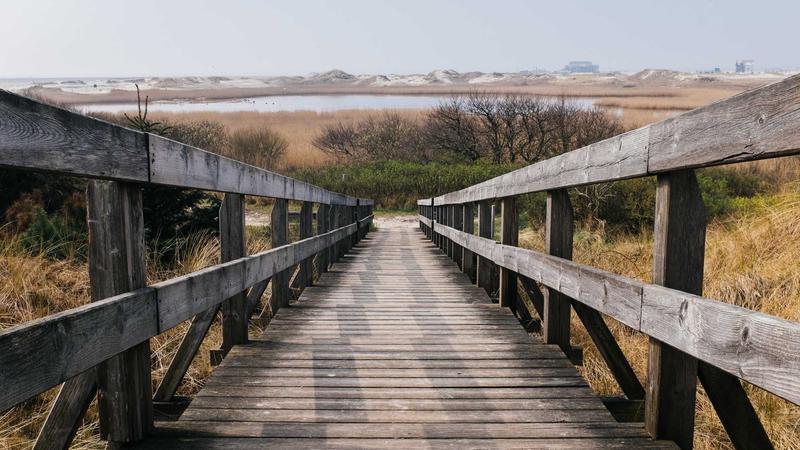 Retinol Là Gì? Tác Dụng, Cách Dùng, Sản Phẩm Nên và Không Nên Dùng (2026)