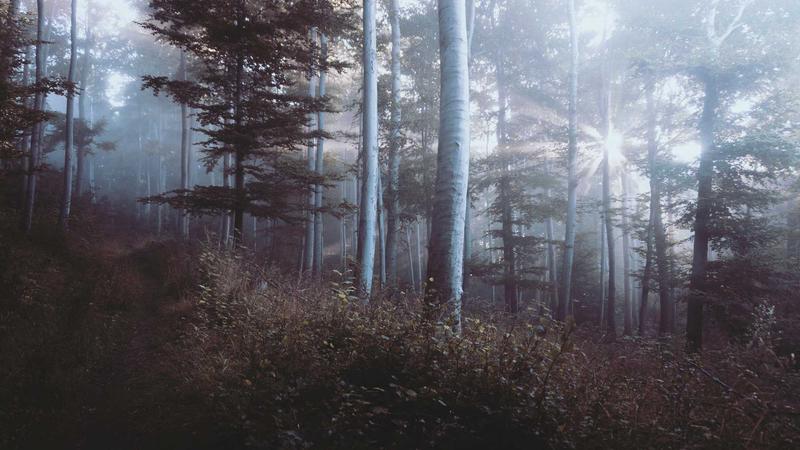 Tiết kiệm cho chuyến du lịch Sapa cùng Finhay