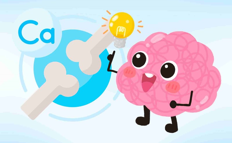 Bổ sung Canxi cho bé: Nhu cầu theo tuổi, thực phẩm giàu Canxi và cách bổ sung đúng