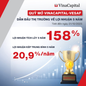 Tìm hiểu về quỹ VinaCapital: Tổng quan các quỹ, hiệu suất, phí và cách đầu tư chi tiết 2026