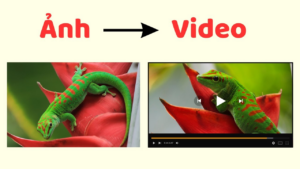 Biến ảnh tĩnh thành video bằng AI: Top 7 công cụ tốt nhất và cách kiếm tiền từ video AI