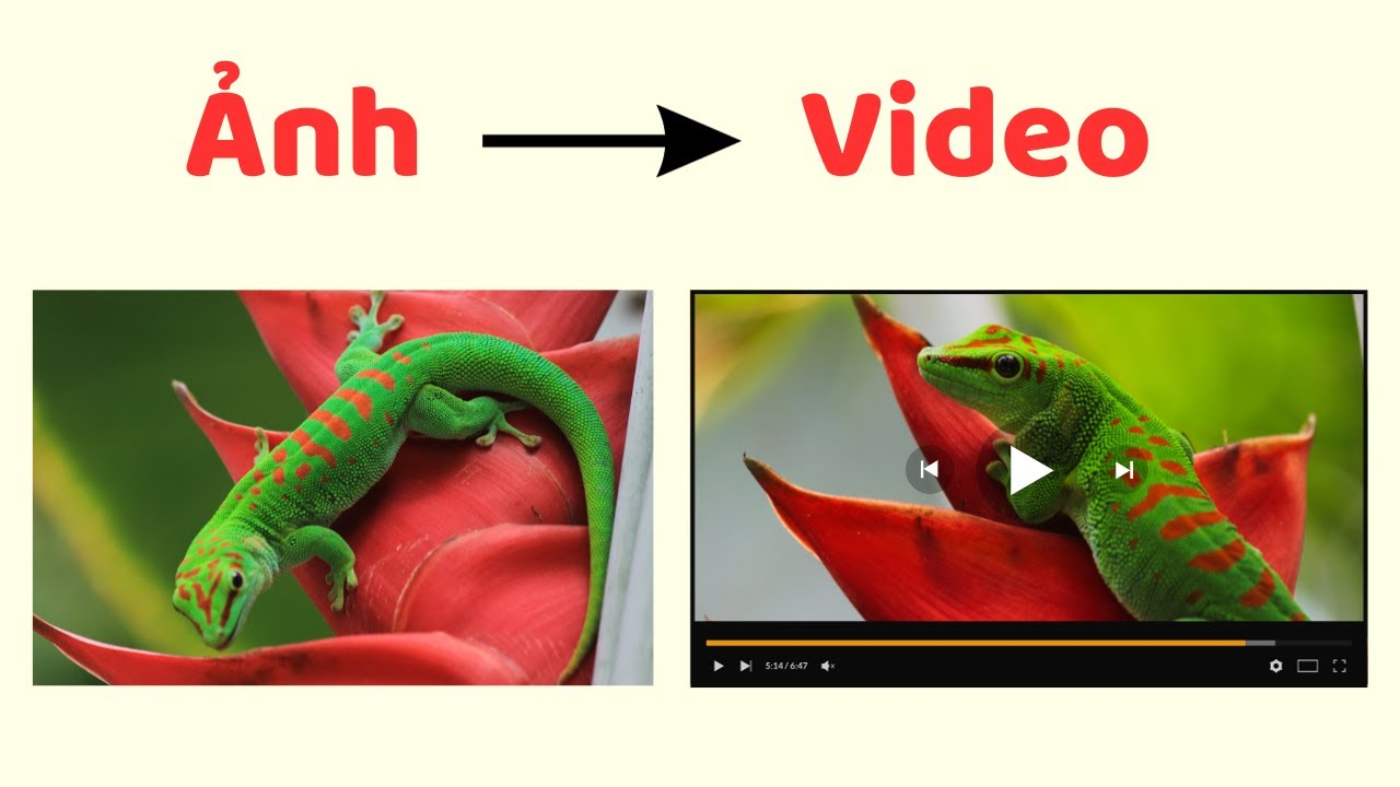 Biến ảnh tĩnh thành video bằng AI: Top 7 công cụ tốt nhất và cách kiếm tiền từ video AI