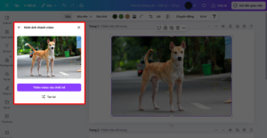 Biến ảnh tĩnh thành video bằng AI: Top 7 công cụ tốt nhất và cách kiếm tiền từ video AI