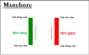Chỉ 5 phút hiểu rõ cách đọc biểu đồ nến Nhật từ A – Z: Hướng dẫn toàn diện cho người mới