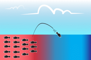 6 nguyên tắc của chiến lược đại dương xanh