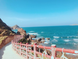 Kinh nghiệm du lịch Quy Nhơn 2026: Khám phá thành phố biển hoang sơ bậc nhất miền Trung