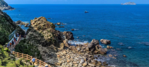 Kinh nghiệm du lịch Quy Nhơn 2026: Khám phá thành phố biển hoang sơ bậc nhất miền Trung