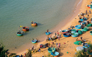 Kinh nghiệm du lịch Quy Nhơn 2026: Khám phá thành phố biển hoang sơ bậc nhất miền Trung