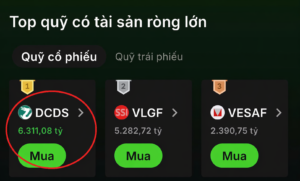 Quỹ DCDS của Finhay