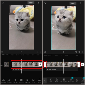 Cách làm video TikTok lên xu hướng bằng CapCut – Hướng dẫn chi tiết từ A-Z