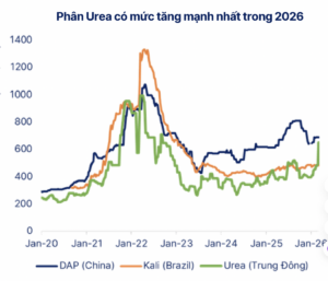 Phân tích cổ phiếu DPM 2026: Đón đầu chu kỳ tăng trưởng mới nhờ giá Ure phục hồi