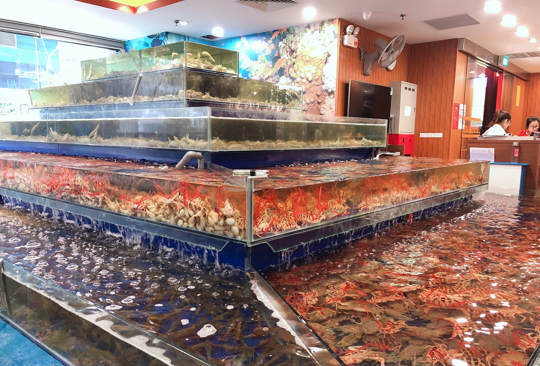 Siêu phẩm buffet hải sản Chef Dzung: Review thực đơn, bảng giá 2026 và trải nghiệm chi tiết nhất