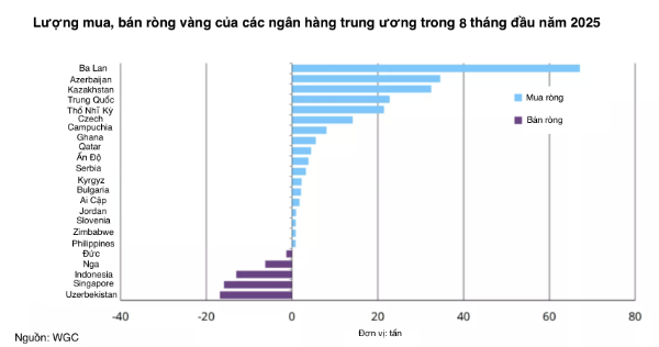 Quốc gia nào có dự trữ vàng lớn nhất thế giới? Top 10 nước giữ vàng nhiều nhất