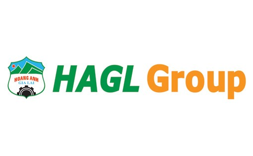 Phân tích cổ phiếu HAG (Hoàng Anh Gia Lai) 2026: Lãi kỷ lục nghìn tỷ – Đã đến lúc mua vào?