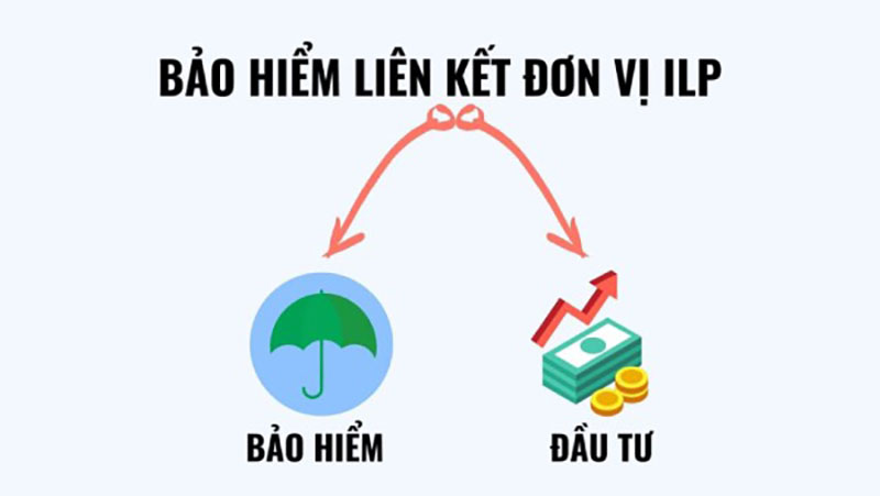 Sơ đồ bảo hiểm liên kết đơn vị kết hợp bảo vệ và đầu tư